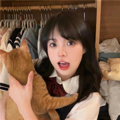高贵的领主